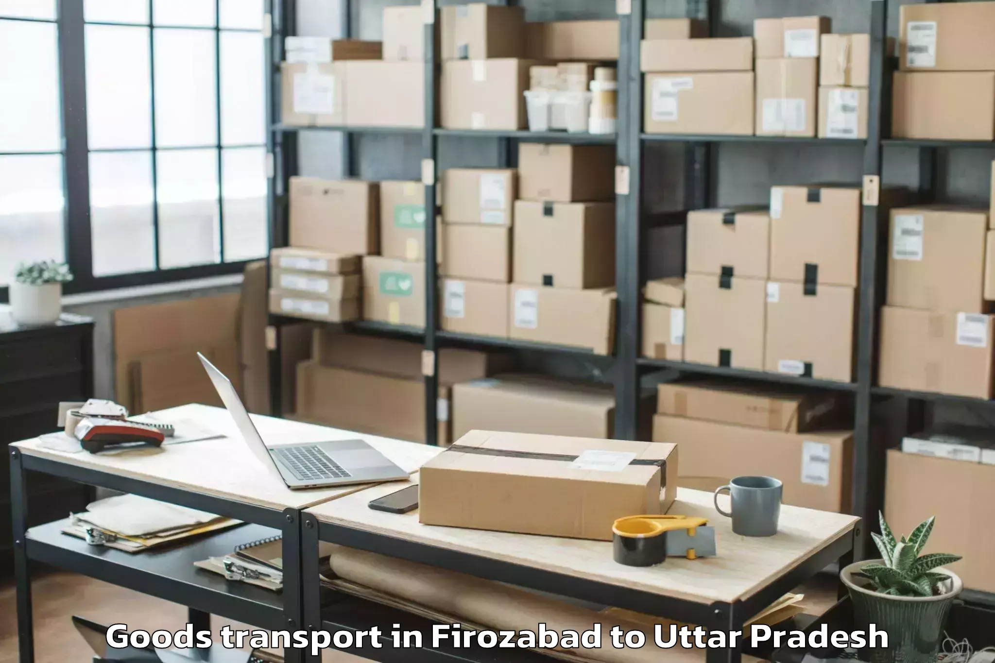 Easy Firozabad to Biswan Goods Transport Booking